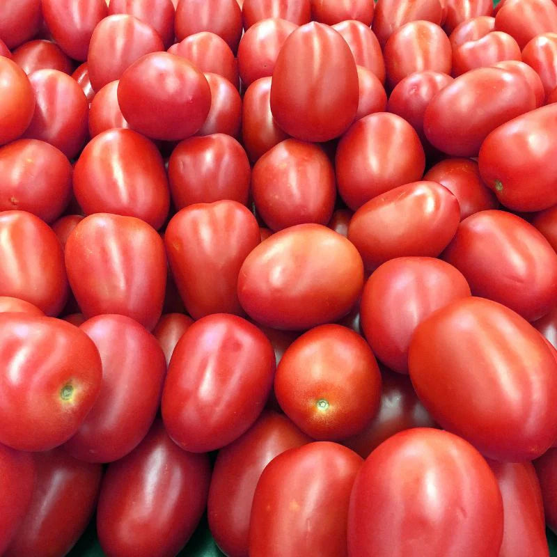 Close-up of a pile of red tomatoes