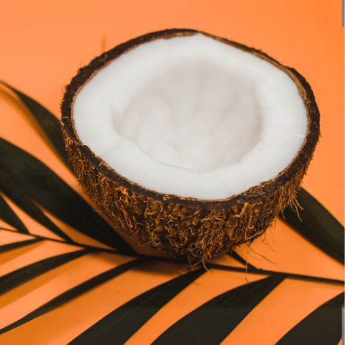 Coconut-Based Products
