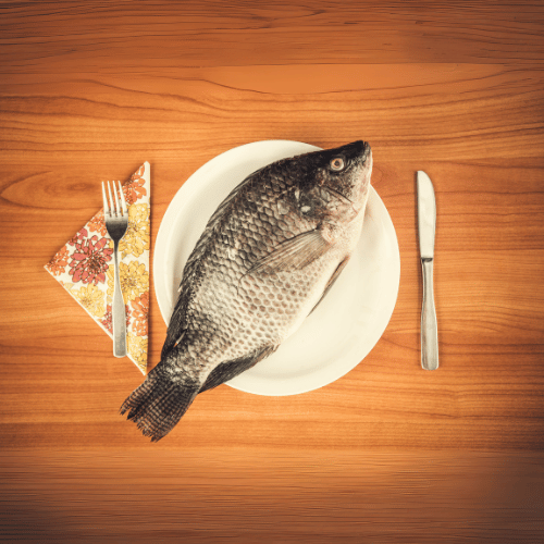 Frozen Fish & Meat