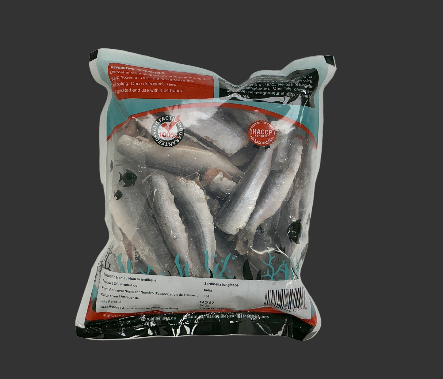 Marine Lines Frozen Sardine (mathi)- 1.5lb