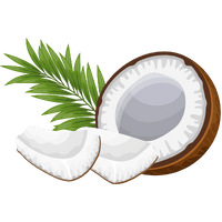 Coconut Based Products