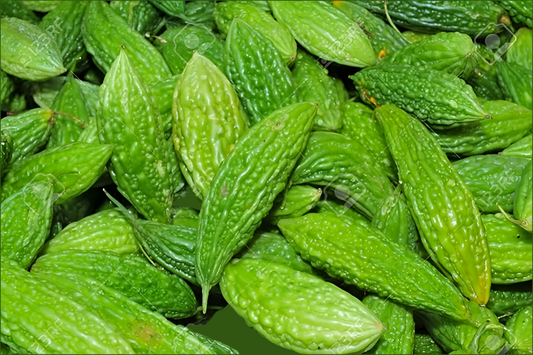 Pavakka/Indian bitter melon
