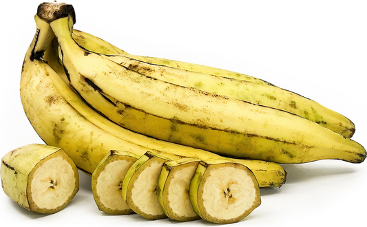 Bananas with a few slices on a white background