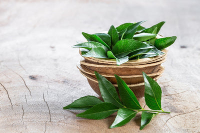 Fresh Curry Leaves (Kariveppila)