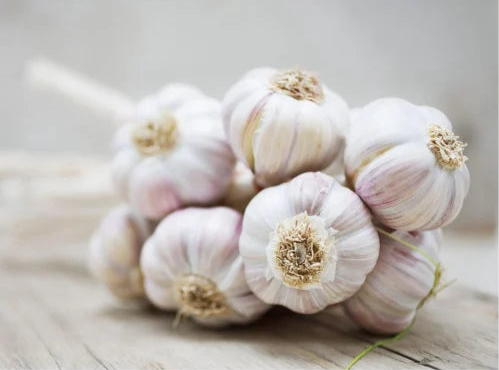 Bunch of garlic bulbs on a wooden surface