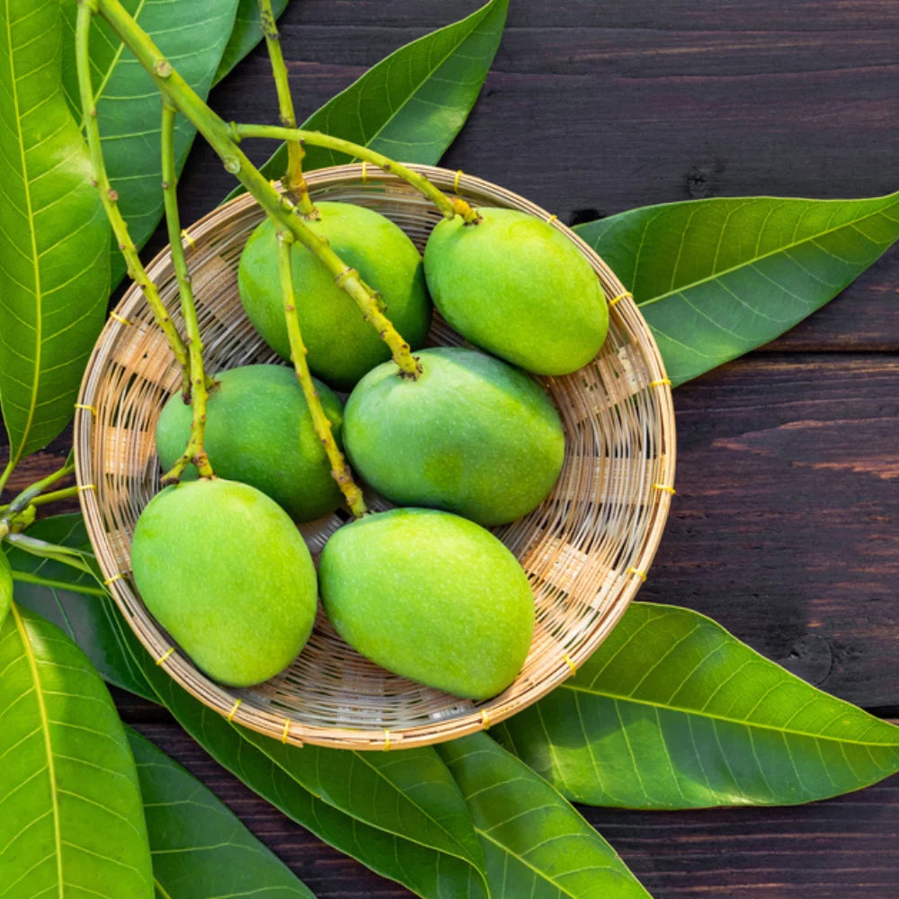 Raw Mango