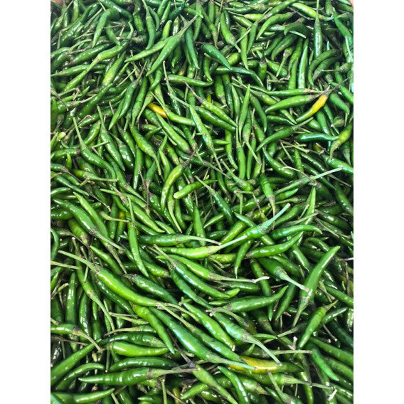 Heap of green chilies on a white background